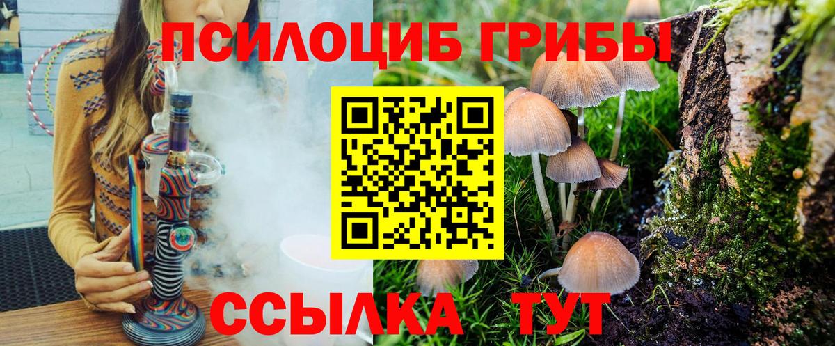 Артёмовский  Галлюциногенные грибы ЛСД  Вход с VPN 